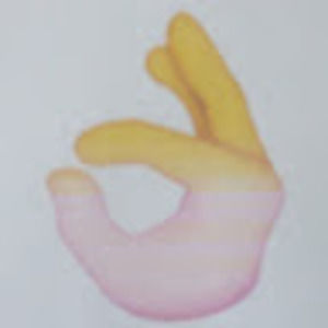 Meet your Posher, Sully